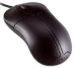 DELL Optical Mouse, Black, USB