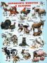 Виж оферти за Домашните животни на България - Пъзел