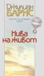 Нива на живот - Обсидиан