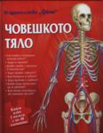 Човешкото тяло - книга + 5 пъзела с по 48 елемента - Фют