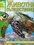 Виж оферти за Animal planet: Животни пътешественици (илюстрована енциклопедия)