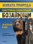 Живата природа - илюстрована енциклопедия: Бозайници